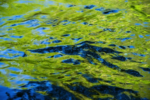 Passaic River, Union and Morris Counties, 04 10 (1787SA).jpg Passaic River, Union and Morris Counties, 04 10 (1787SA).jpg